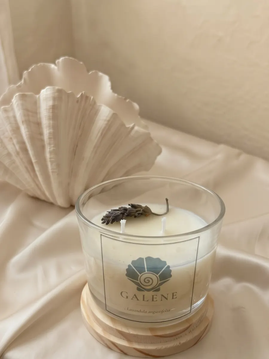 Vela Lavanda, linha Botânica, foto 3